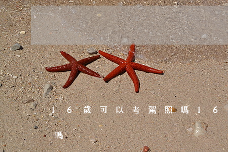 16歲可以考駕照嗎(16歲以上可以考駕照嗎)