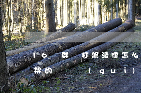 16歲群毆打架法律怎么處理(16周歲打群架的處罰規(guī)定)
