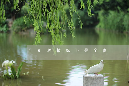 16种情况下是全责