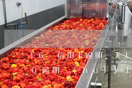 16萬信用卡逾期一天上門 信用卡10000逾期會(huì)上門嗎