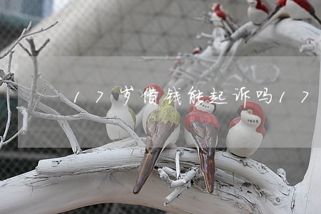 17岁借钱能起诉吗（17岁借钱能起诉吗）