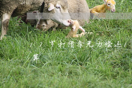 17岁打借条无力偿还(17岁写的欠条算不算)