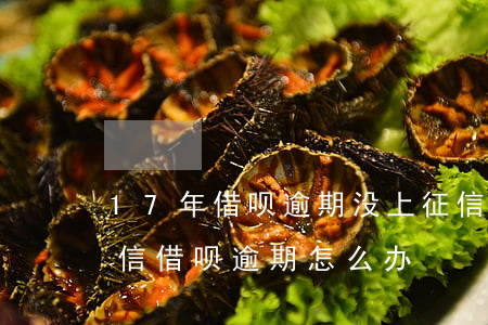 17年借呗逾期没上征信(借呗逾期多久上征信?借呗逾期怎么办)