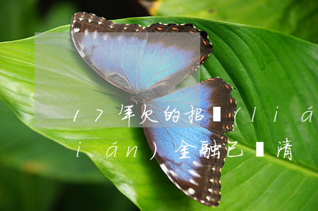 17年欠的招聯(lián)金融(招聯(lián)金融已還清)
