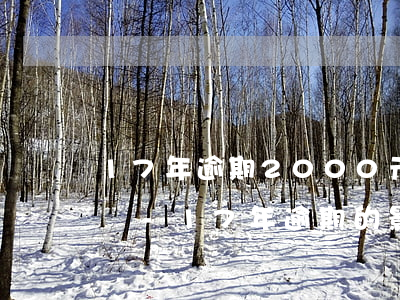 17年逾期2000元對(duì)征信影響-17年逾期的影響貸款嗎