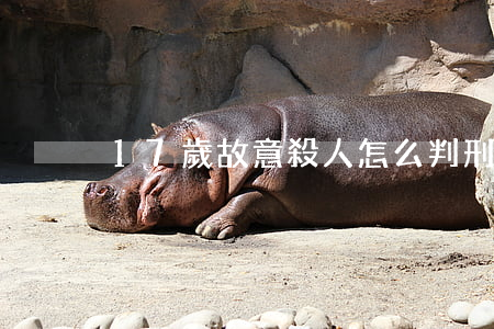 17歲故意殺人怎么判刑