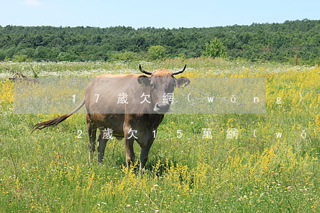 17歲欠網(wǎng)貸1萬怎么處理(22歲欠15萬網(wǎng)貸怎么辦)