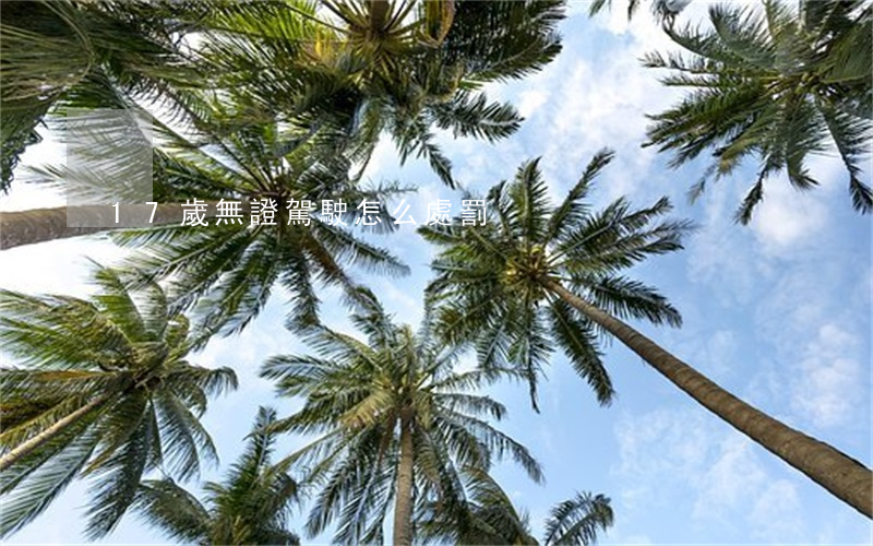 17歲無證駕駛怎么處罰