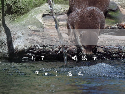 17歲離婚孩子撫養(yǎng)權(quán)怎么辦