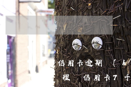 17萬信用卡逾期會(huì)報(bào)案處理嗎(信用卡7千多逾期了會(huì)不會(huì)起訴)
