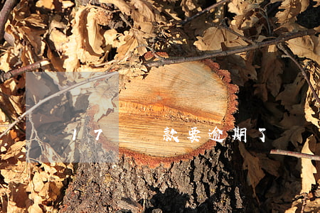 17萬貸款要逾期了(車貸逾期17天)