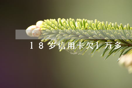 18岁信用卡欠1万多