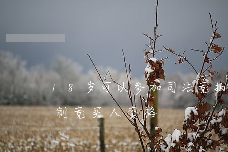 18岁可以参加司法竞拍吗(司法拍卖如何限制竞买人资格)