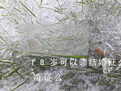 18岁可以领结婚证么(彝族18岁可以领结婚证么)