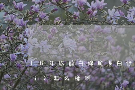 18年以前白條逾期(白條逾期1年會(huì)怎么樣啊)