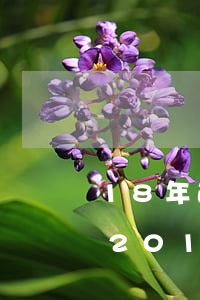18年逾期的信用卡(2014年信用卡逾期2019能消除)