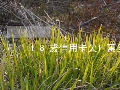 18歲信用卡欠1萬多