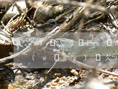 18歲欠了網(wǎng)貸7千怎么辦(網(wǎng)貸欠18萬(wàn)怎么辦)