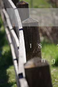 18歲欠網(wǎng)貸怎么辦(欠網(wǎng)貸18萬怎么辦)