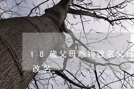 18歲父母離婚改名(父母離異滿18歲怎么改名)