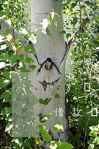 18歲花唄無力償還-花唄未滿十八歲可以借款嗎?