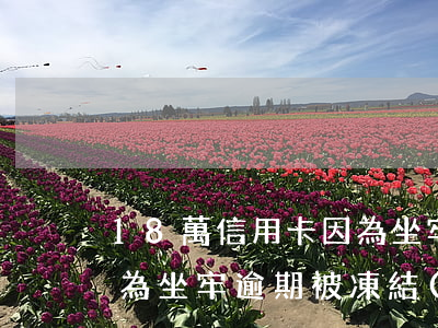 18萬信用卡因為坐牢逾期(18萬信用卡因為坐牢逾期被凍結(jié))