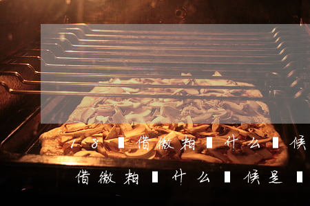 18號借微粒貸什么時候是還款日-18號借微粒貸什么時候是還款日呢
