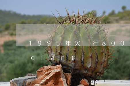 1995年欠銀行8000元要還多少錢(qián)
