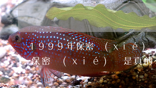 1999年保密協(xié)議(1999年保密協(xié)議是真的嗎)