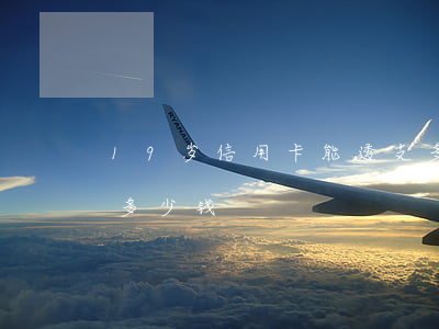 19岁信用卡能透支多少(18岁信用卡能借多少钱)
