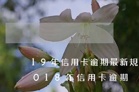 19年信用卡逾期最新規(guī)定-2018年信用卡逾期