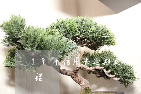 19年信用卡逾期案例(最新的信用卡逾期處理)