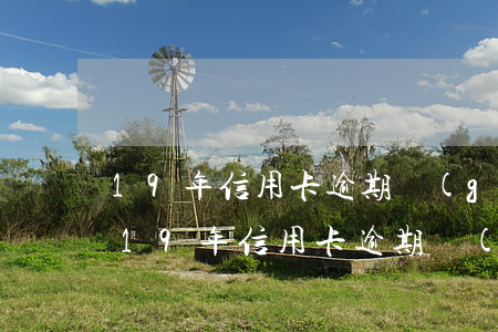 19年信用卡逾期過(guò)半年總金額(19年信用卡逾期過(guò)半年總金額)