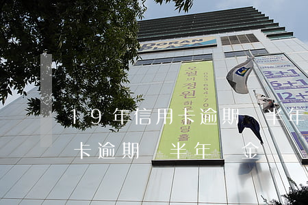 19年信用卡逾期過半年總金額(19年信用卡逾期過半年總金額)
