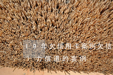 19年欠信用卡案例(欠信用卡的錢無(wú)力償還的案例)