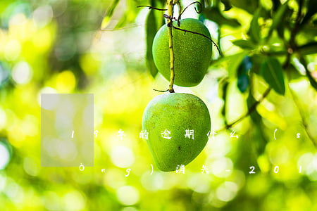 19年的逾期什么時(shí)候自動(dòng)消失-2019年逾期上征信多久能消除