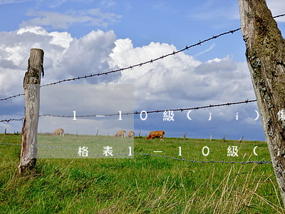 1—10級(jí)傷殘賠償價(jià)格表(1—10級(jí)傷殘賠償價(jià)格表交通事故農(nóng)村戶口)