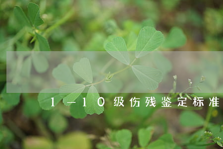 1—10级伤残鉴定标准 1—10级伤残鉴定标准