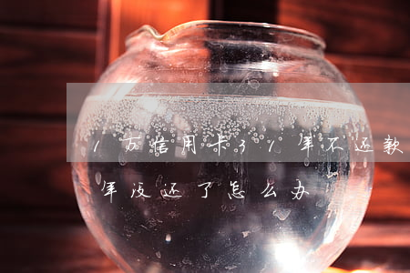 1万信用卡31年不还款(欠信用卡30万三年没还了,怎么办)