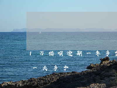 1万借呗逾期一年多少钱(借呗7000逾期一天多少)