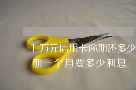 1万元信用卡逾期还多少钱(信用卡1万元逾期一个月要多少利息)