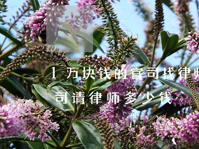 1万块钱的官司找律师多少钱(两万块钱的官司请律师多少钱)
