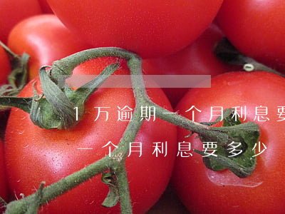 1万逾期一个月利息要多少-网贷1万逾期一个月利息要多少