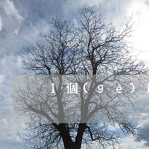 1個(gè)月的逾期影響房貸嗎