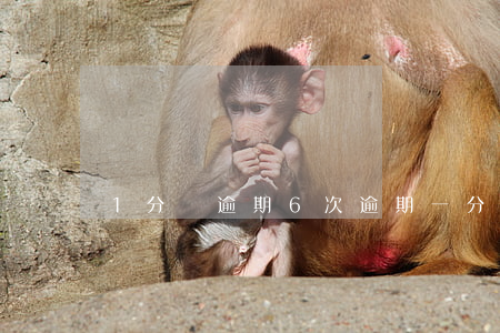 1分錢逾期6次(逾期一分錢是否納入征信)