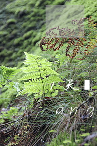 1天網(wǎng)貸逾期上征信嗎(網(wǎng)貸逾期1天會有征信記錄么)