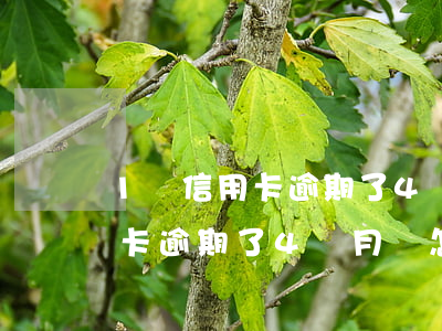 1張信用卡逾期了4個月會怎樣-1張信用卡逾期了4個月會怎樣還款