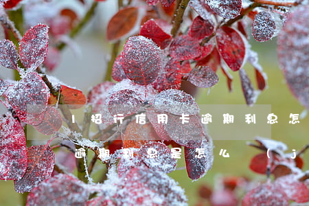1招行信用卡逾期利息怎么算 銀行的信用卡逾期利息是怎么計(jì)算的