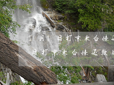 1月1日打京东白条还款日是哪天-1月1日打京东白条还款日是哪天的