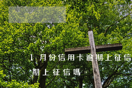 1月份信用卡逾期上征信嗎(1月份信用卡逾期上征信嗎)
